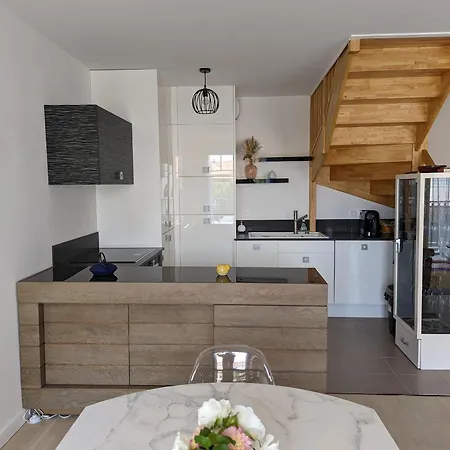 Centre: Beau Duplex T3 3* Avec Balcon, Parking, A Deux Pas De La Et Des Commerces - Fr-1-420-107 Arcachon