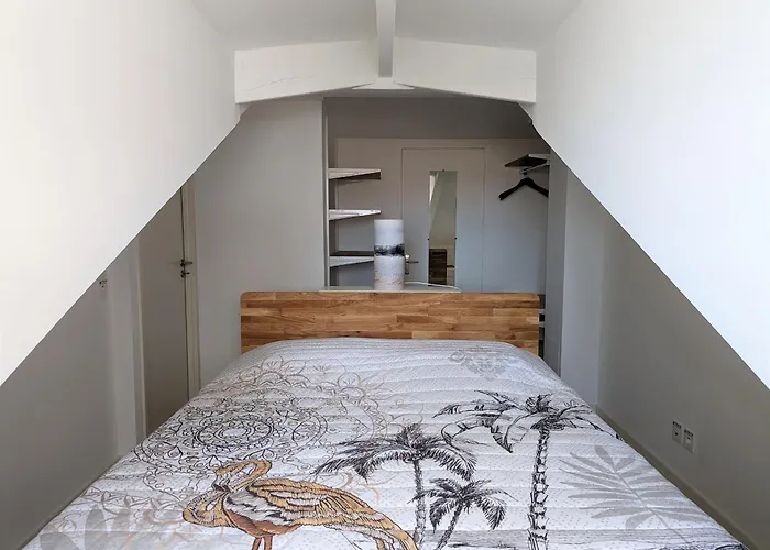 Centre: Beau Duplex T3 3* Avec Balcon, Parking, A Deux Pas De La Et Des Commerces - Fr-1-420-107